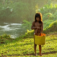 Obrázek